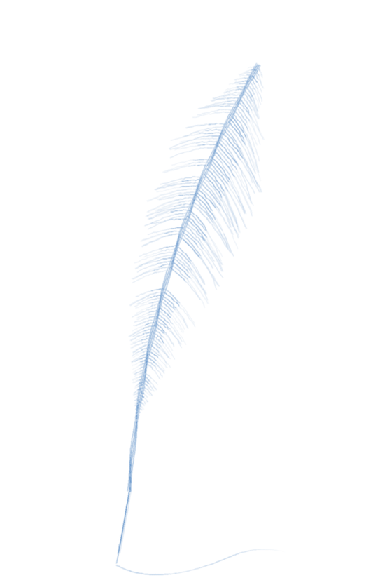 The author's mark &middot; a quill, sketched in pencil